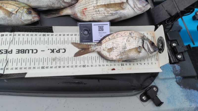Fish Measure Picture